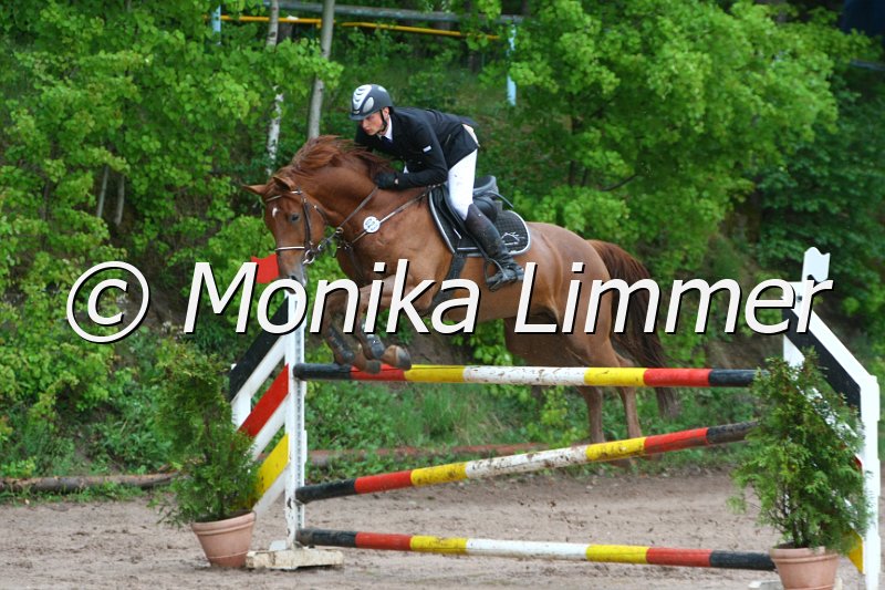 104M7314_Expositor_Punkte M.JPG